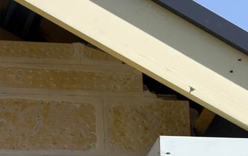 soffit repair Bear Cross