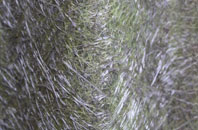 Bear Cross fibreglass roof work