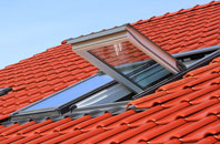 Bear Cross roof window
